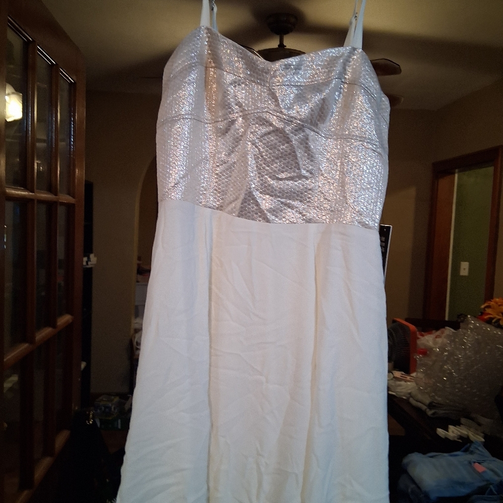 Express Dress
